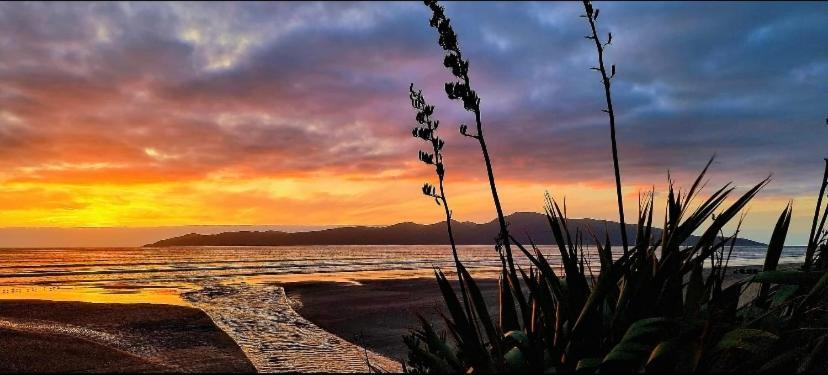 Raumati Guest House Paraparaumu Esterno foto